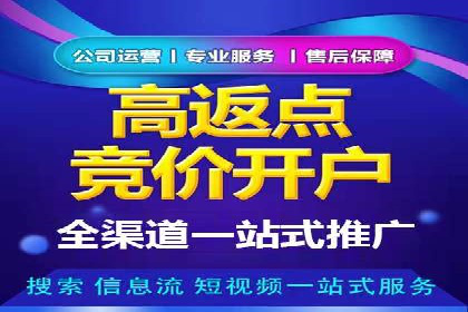 百度推广运营实战技巧：案例解析与实战